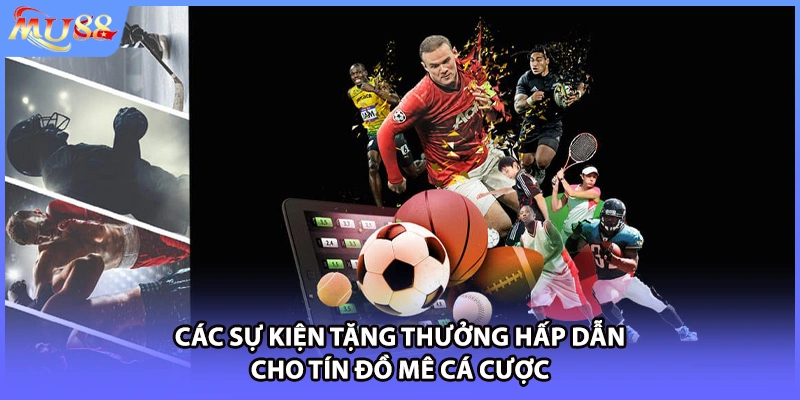 Các sự kiện tặng thưởng hấp dẫn cho tín đồ mê cá cược